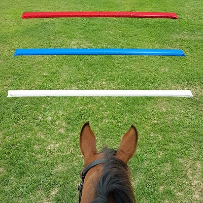 Exercises Using for Horse Ground Soft Poles