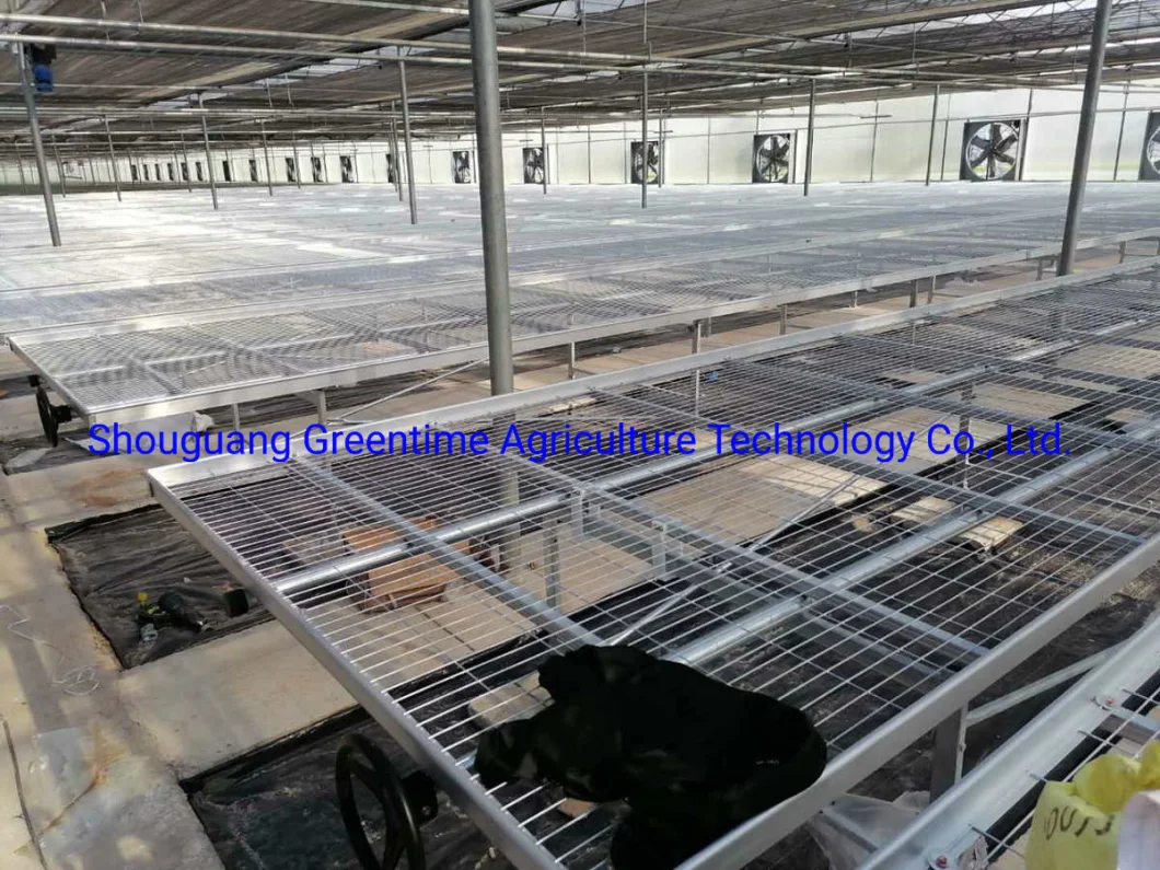 Greenhouse Mesh Rolling Benches 5X10 for Agricultural Planting