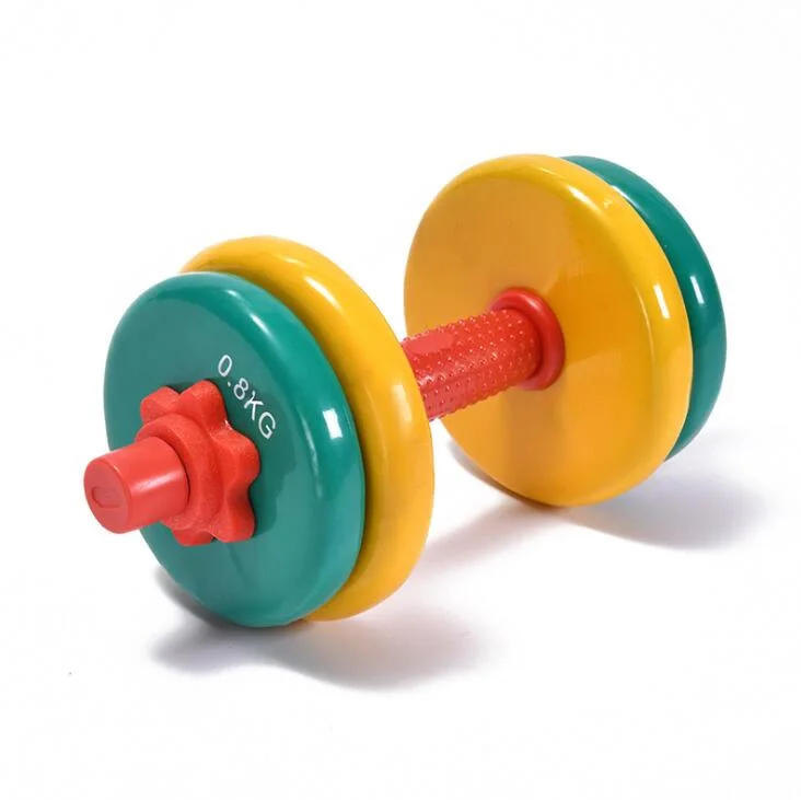 Most Flexible Durable Home Gym Colored Impregnated Plastic Dumbbells Set