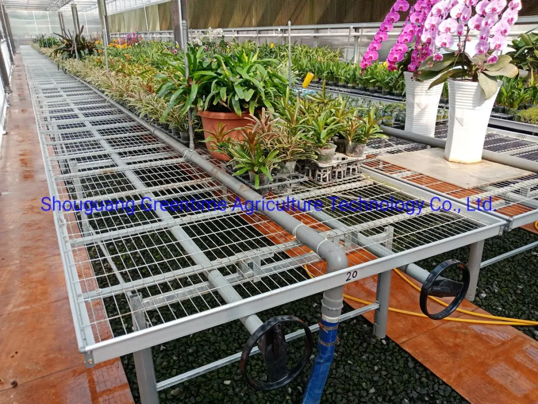 Mesh Rolling Table Top Benches Commercial Growing for Agricultural Planting