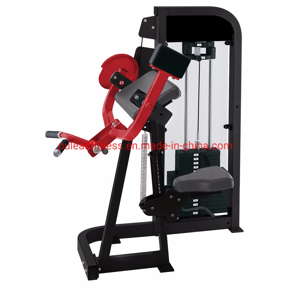 Commercial Gym Strength Equipment Seated Biceps Curl Arm Curl