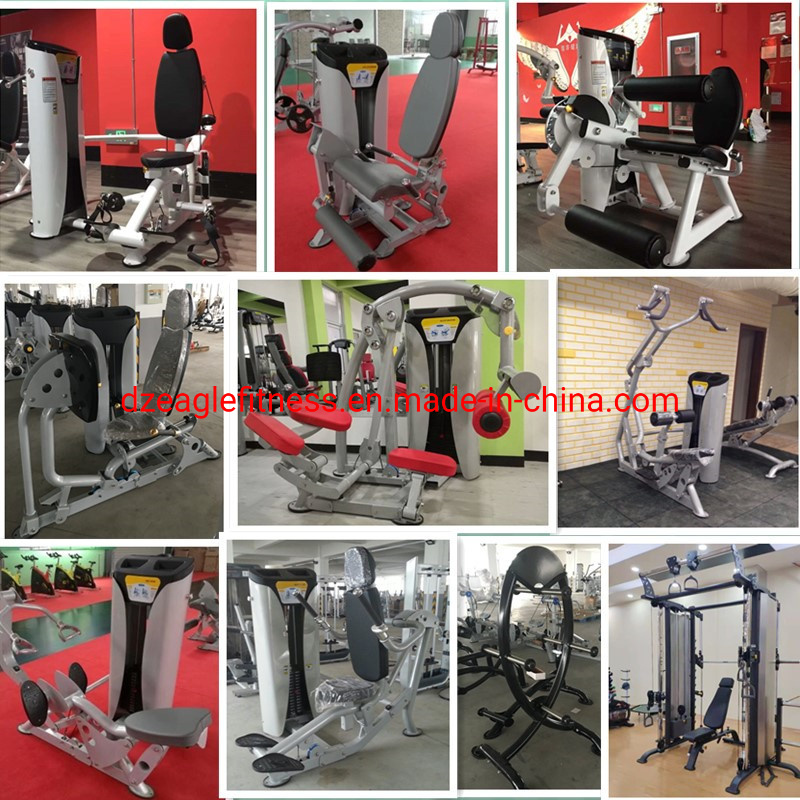 Leg Curl /Commercial Training Equipment/Sports Equipment /Gym Exercise Machine