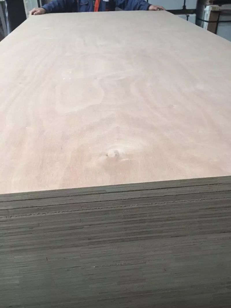 Shouguang Plywood for Sale, Linyi Plywood for Sale