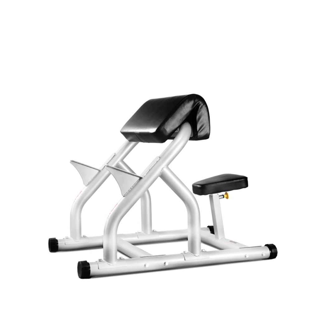 Commercial Use Bicep Arm Curl Rack Gym Machine in Gym Exercise Room