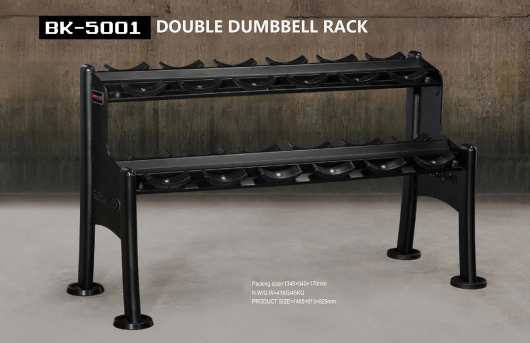 High Quality Good Price Durable Two Layer Commercial Dumbbell Rack for Gym Use Bk-5001