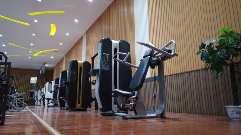 Commercial Gym Equipment/ Fitness Equipment/ Strength Equipment Abnominal Crunch (LD-7057)