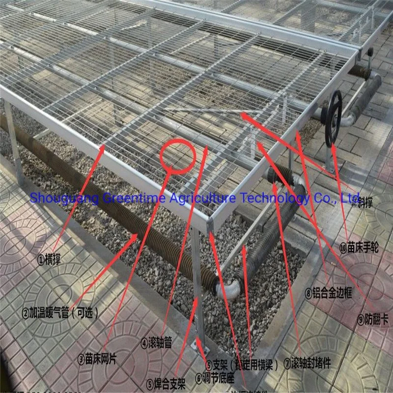 Mesh Greenhouse Rolling Benches for Agricultural Planting