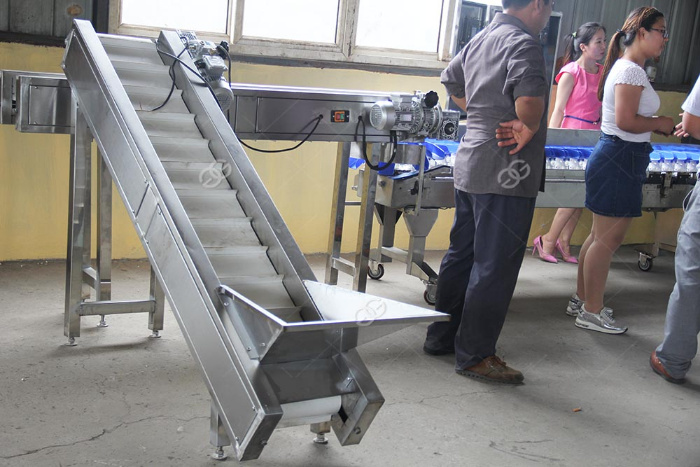 Multiple Weight Zones Weight Sorting Machine for Poultry