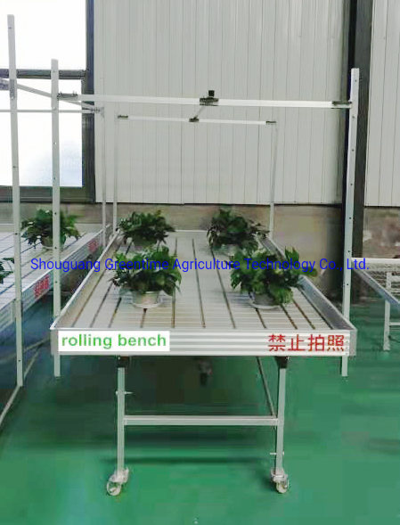 Hydroponic Flood Table with Metal Rolling Benches