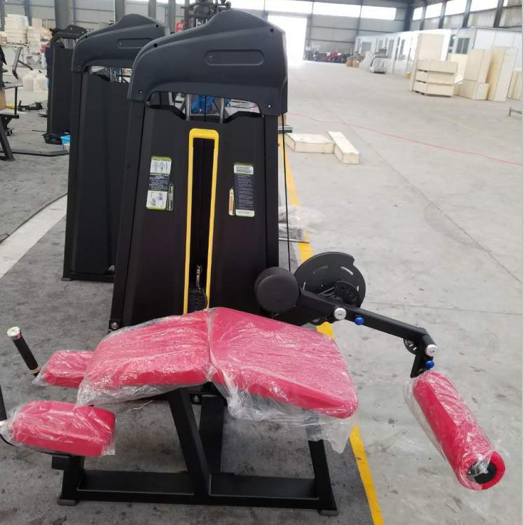 2019 New Design Fitness Equipment Adjustable Abdominal Bench