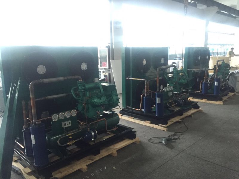 Shenglin Air Cooled Condensing Units Cold Room Condenser Units