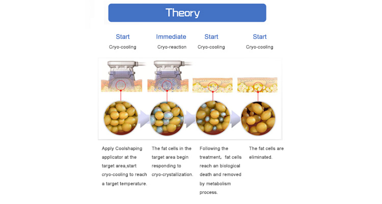 Cryolipolysis Weight Slimming Fat Reduction Salon Equipment Loss Weight