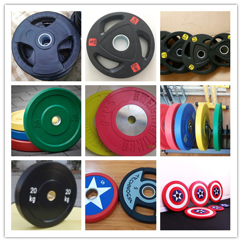 Shangdong Huiyang Gym Equipment PU Fixed Curl Barbell Osf-032A