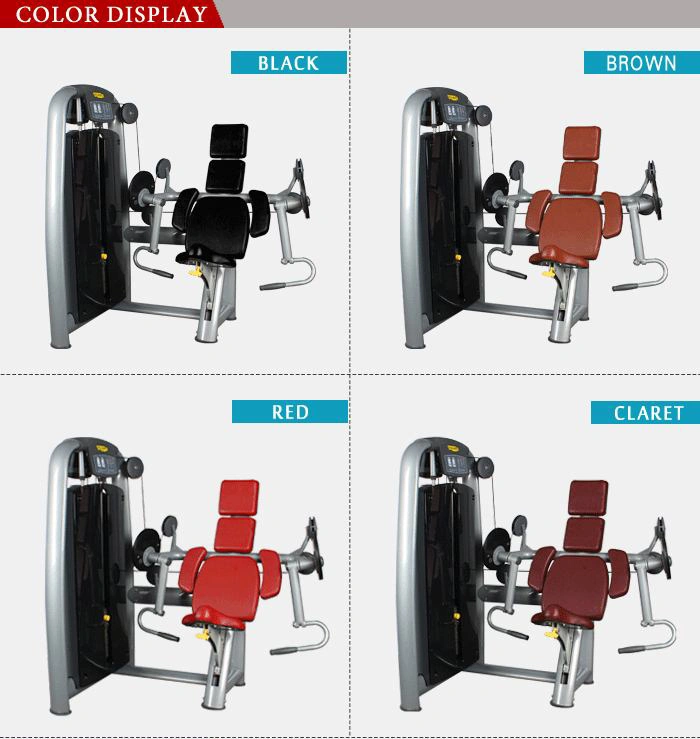 Gym Strength Equipment with CE for Hammer Strength Plate Load (Biceps Curl)