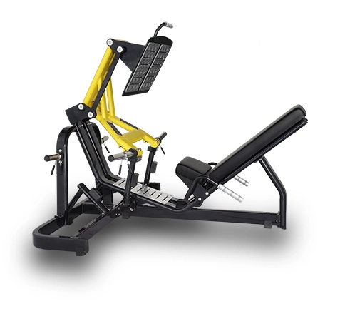 Top Level Commecial Fitness Equipment Strength Machine Pin Loaded Bicep Curl Xmdm-006