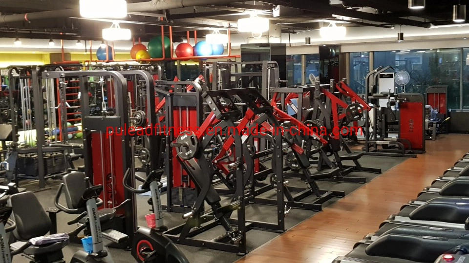 Commercial Gym Strength Equipment Seated Biceps Curl Arm Curl