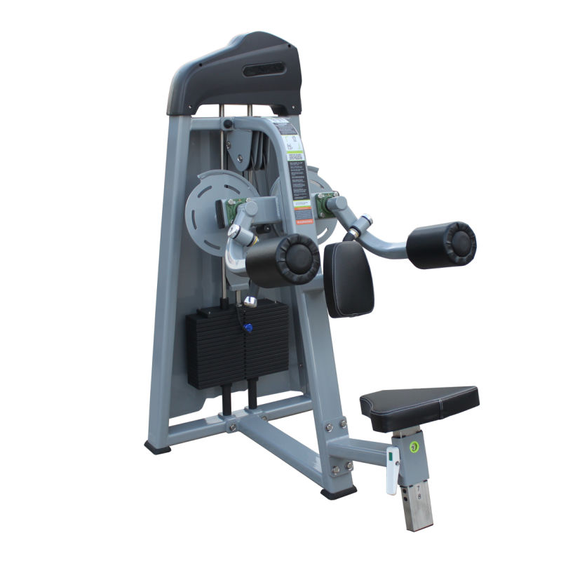 Gym Fitness Equipment Strength Machine Body Building Fitness Gym Equipment Lateral Raise (AXD5005)