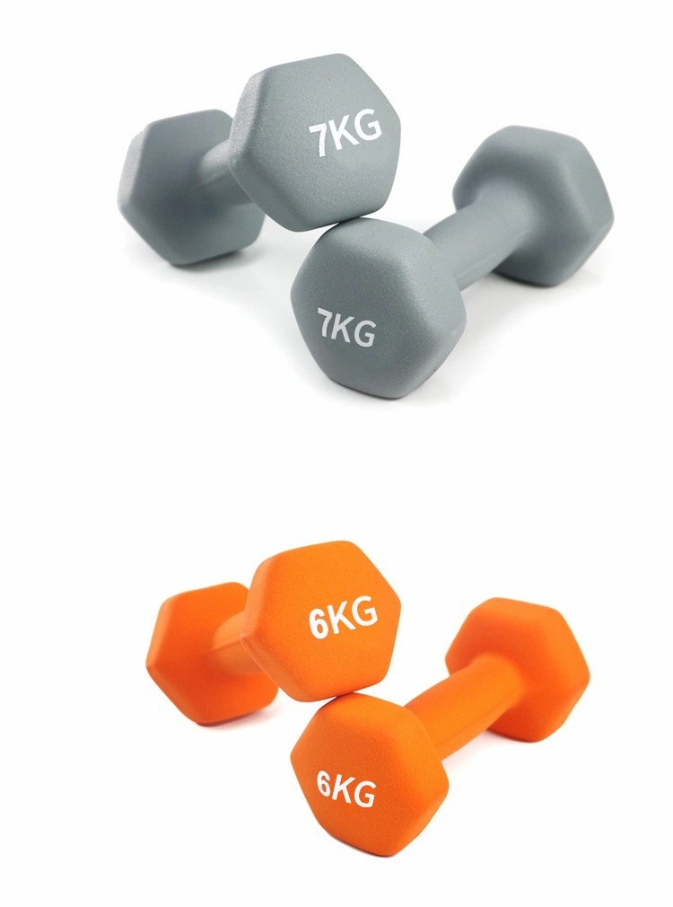 Custom Bodybuilding Home Gym Cast Iron Hex Dumbbell Set