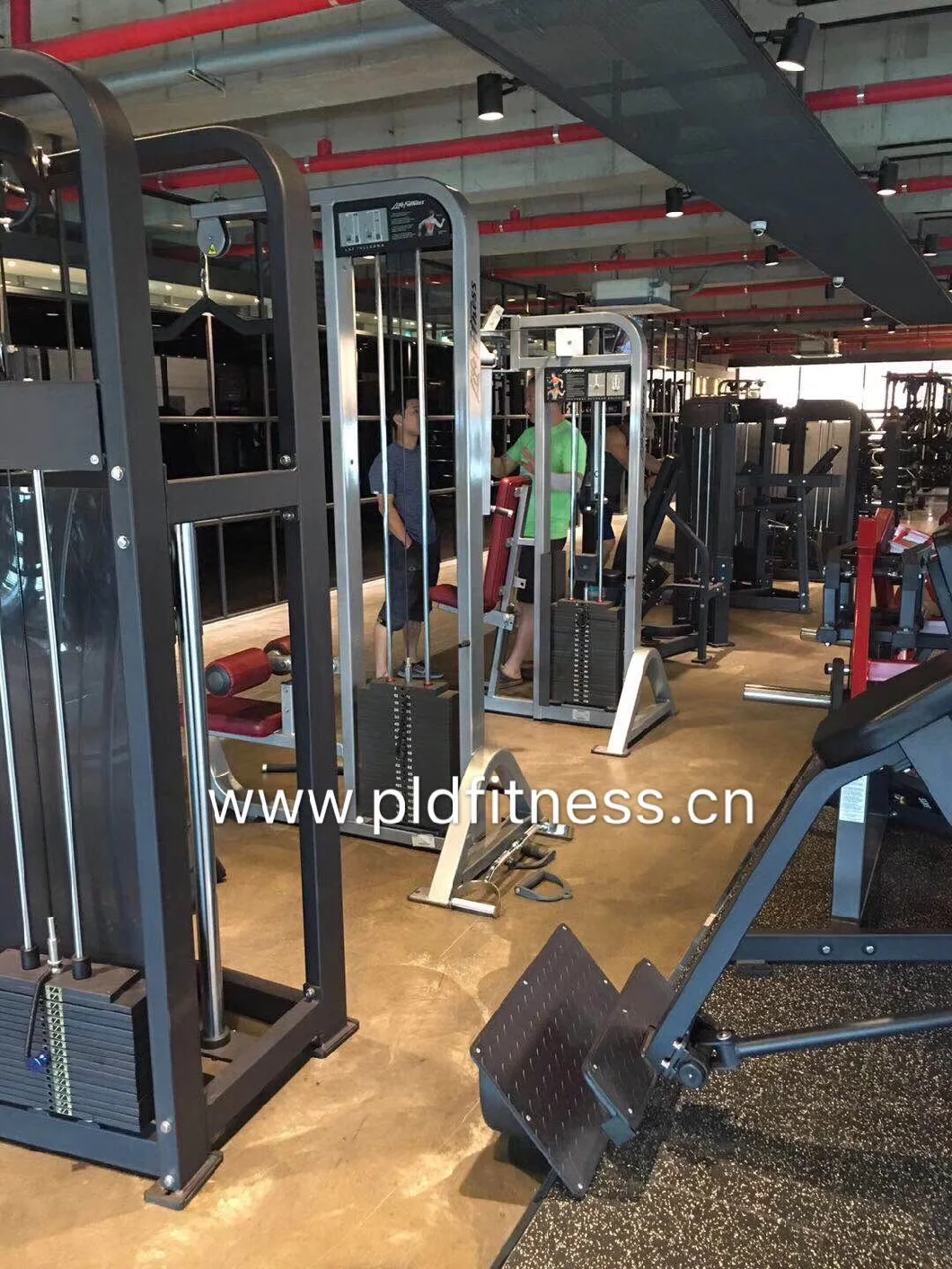 Commercial Gym Strength Equipment Seated Biceps Curl Arm Curl