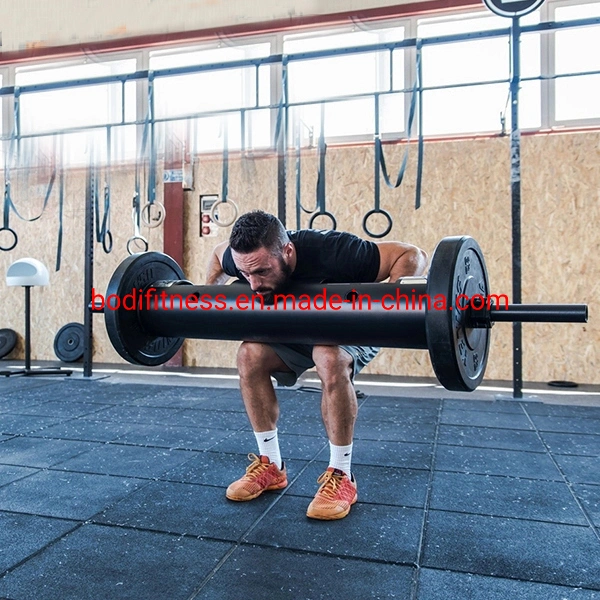 Hot Selling Body Solid Barbell Weight Lifting Standard Tricep Bar