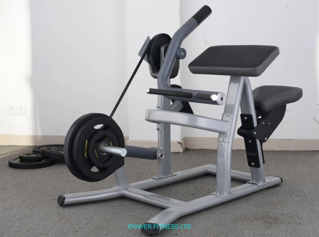 Arm Curl Machine, Preacher Curl, Bicep Curl Machine, Arm Machine, Plate Loaded Bicep Curl, Fitness Equipment