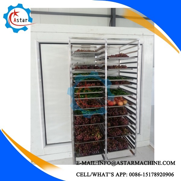 Single Door Deep Freezer Chiller Cabinets Freezer