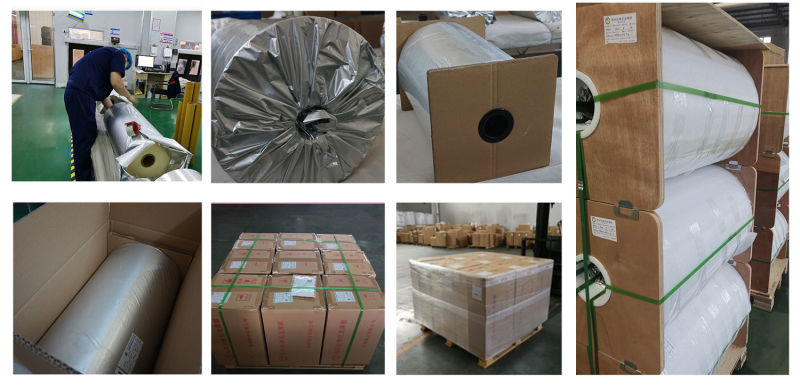 BOPA Film (Nylon) for 5 Kg/10 Kg Rice Package Making