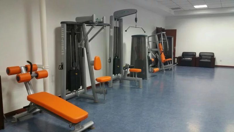 PRO Fitness Equipment / Pendulum Power (SL44)