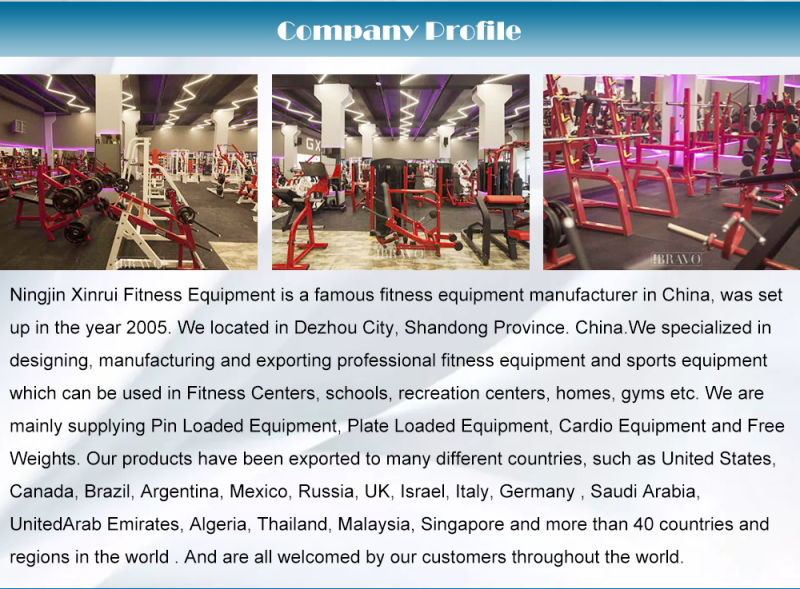 Gym Equipment Names/Commercial Gym Equipment/ Fitness Machines Flat Bench