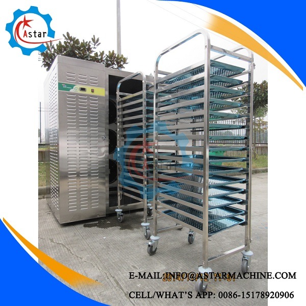 Single Door Deep Freezer Chiller Cabinets Freezer