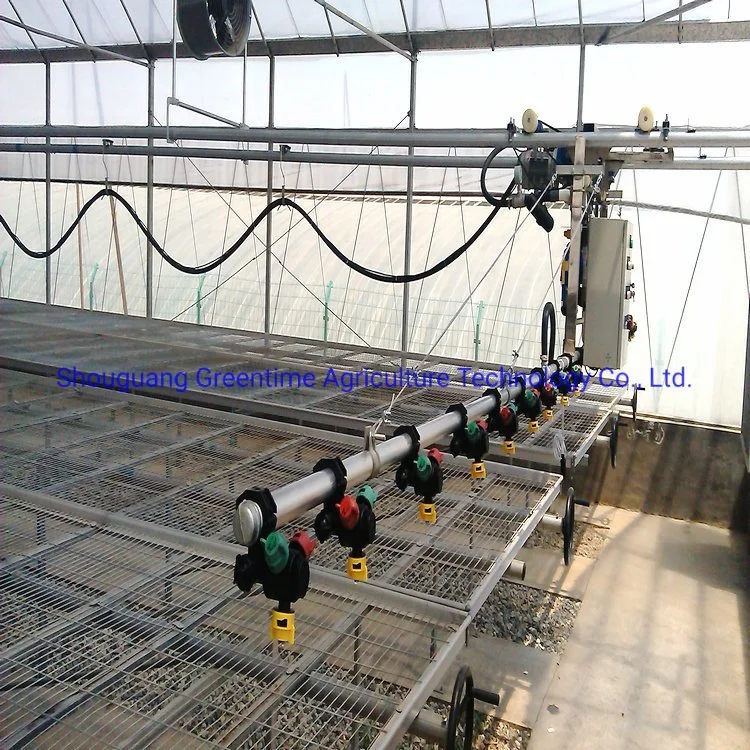 Mesh Greenhouse Rolling Benches for Agricultural Planting