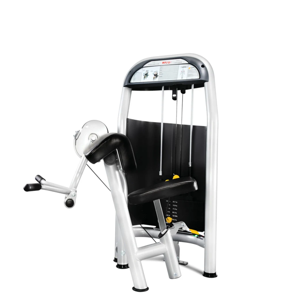 Selectorized Commercial Biceps Arm Curl Machine Gym Fitness Strength Equipment