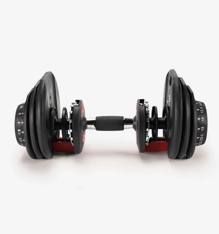 Adjustable Dumbbell Set Home Gym V Equipment Adjust Dumbbell 40kg Weights Dumbbells