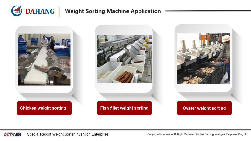 Multi-Grade Weight Sorting Machine/Weight Sorter/Weight Grader