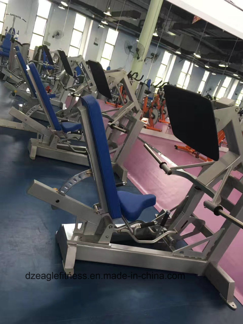 Leg Curl /Commercial Training Equipment/Sports Equipment /Gym Exercise Machine