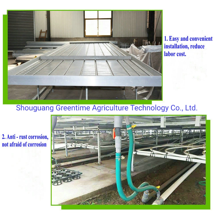 Mesh Greenhouse Rolling Benches for Agricultural Planting