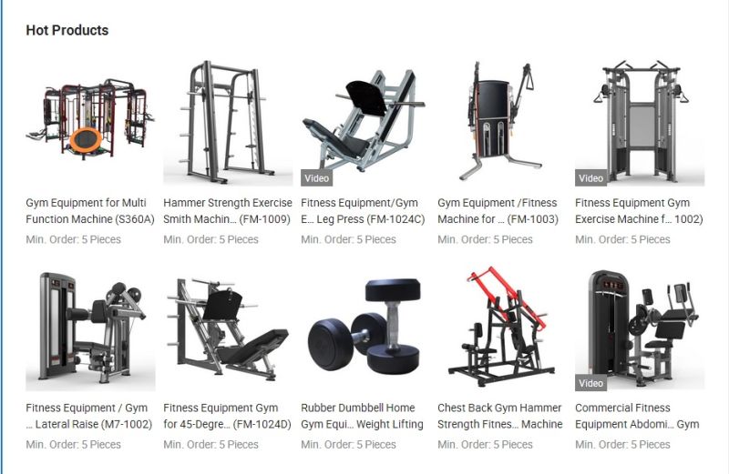 Professional Gym Fitness Equipment-Lateral Raise