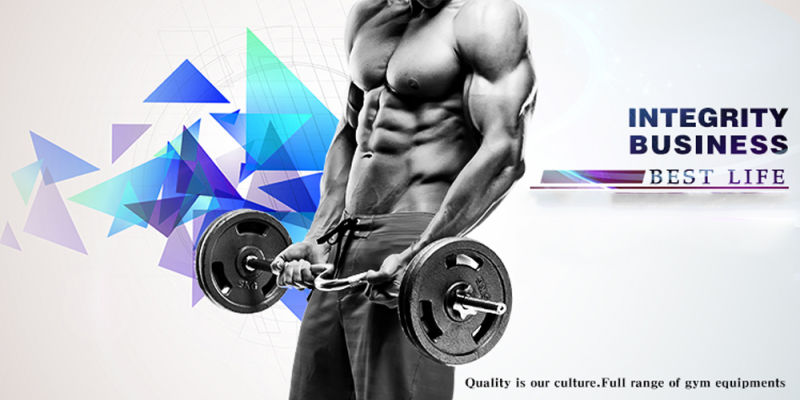Commercial Gym Fitness Equipment Adjustable Abdominal Bench