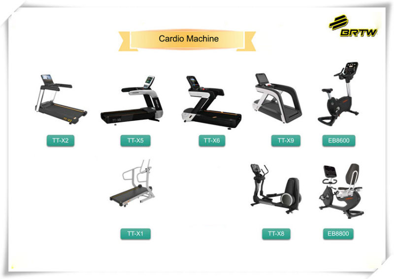 Fitness Commercial Use Gym Equipment Adjustable Abdominal Bench