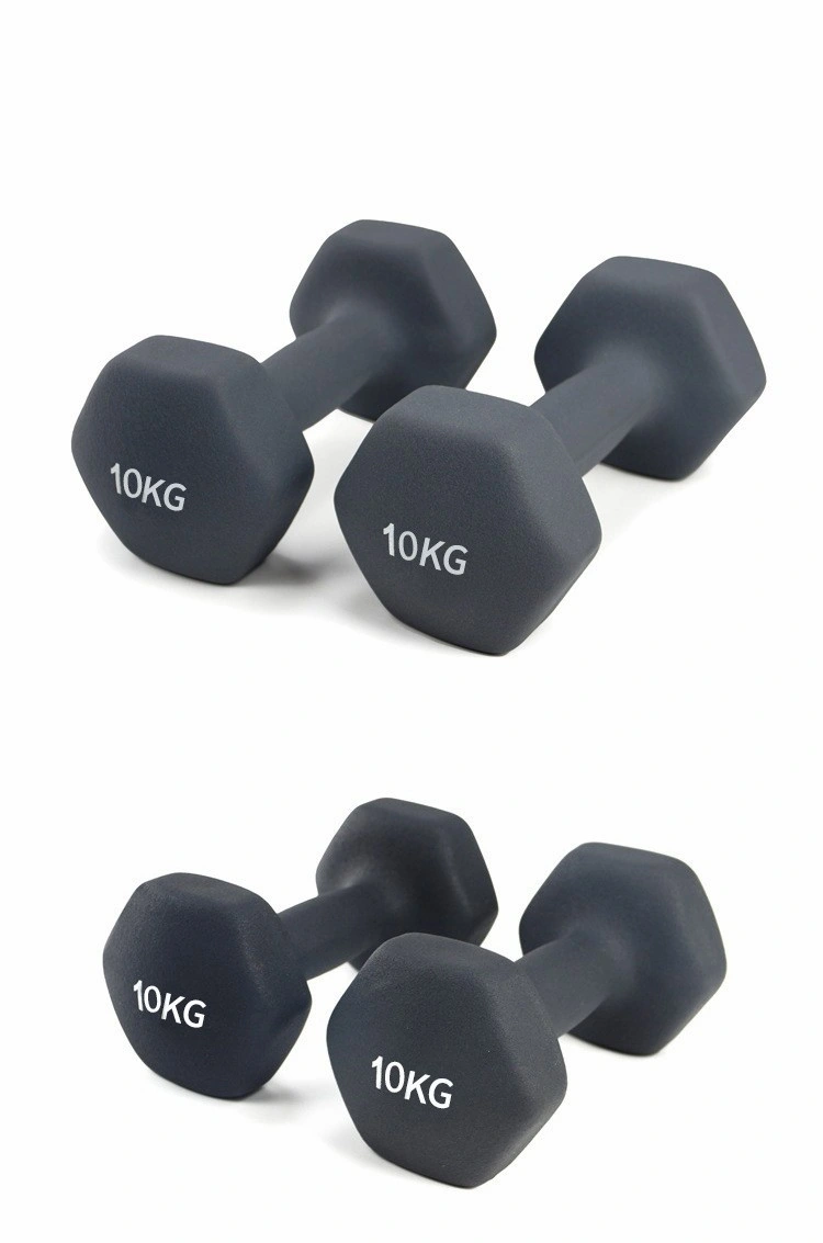 Custom Bodybuilding Home Gym Cast Iron Hex Dumbbell Set