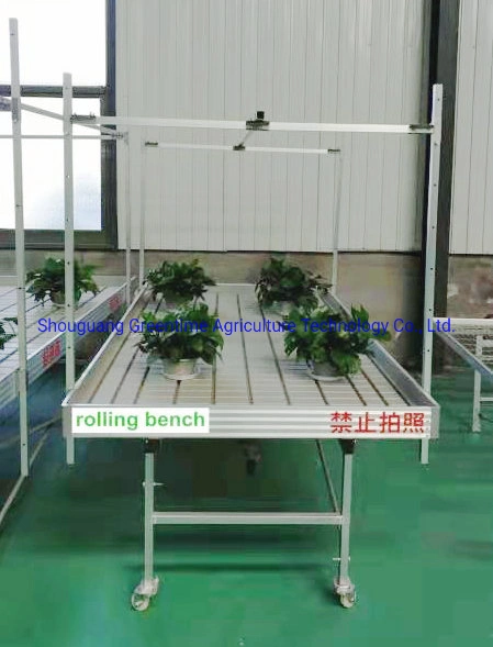 Double Stack Ebb and Flow Rolling Benches for Agricultural Planting