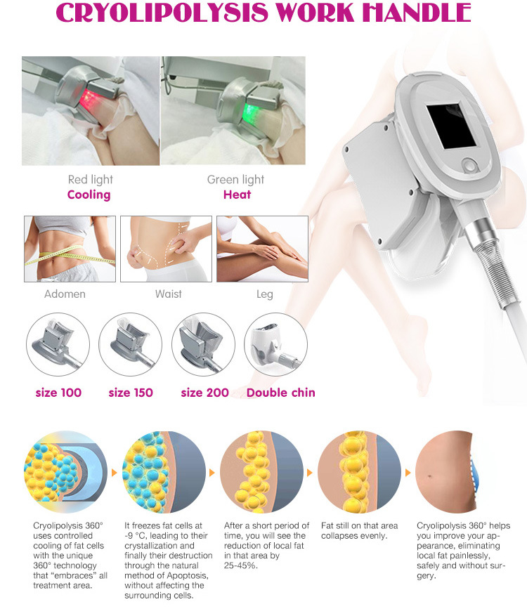 Popular Extracorporeal Weight Loss Shock Wave Therapy Equipment Shockwave