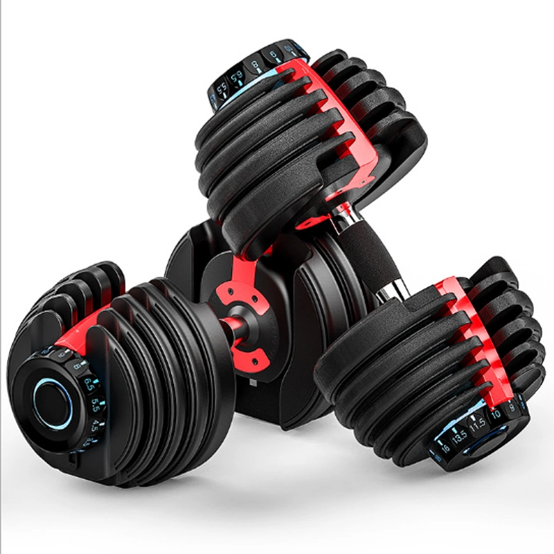 Cast Iron 25kg Adjustable Dumbbell Weights Set with Rubber Handle Bar