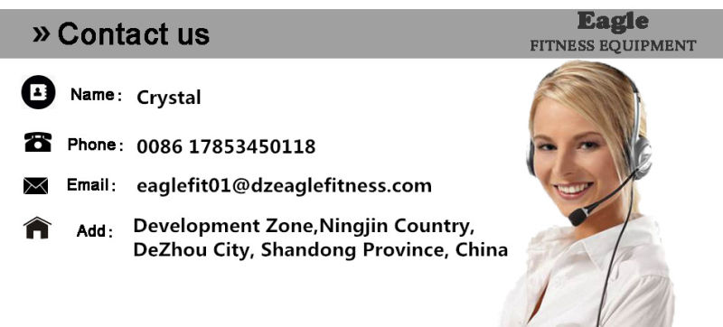 Commercial Life Fitness Gym Sports Equipment Manufacturer in China Adjustable Abdominal Bench