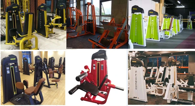 Px-1033 Myoung Fitness Strength Equipment / Gym Trainiing Equipment