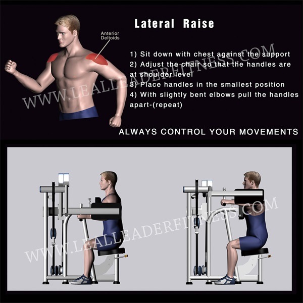 Professional Gym Fitness Equipment-Lateral Raise