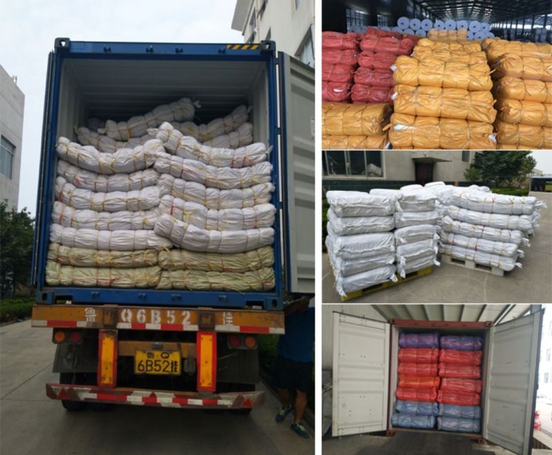 Polypropylene 10kg 20kg 50 Kg 100kg Custom Color White Bag for Rice