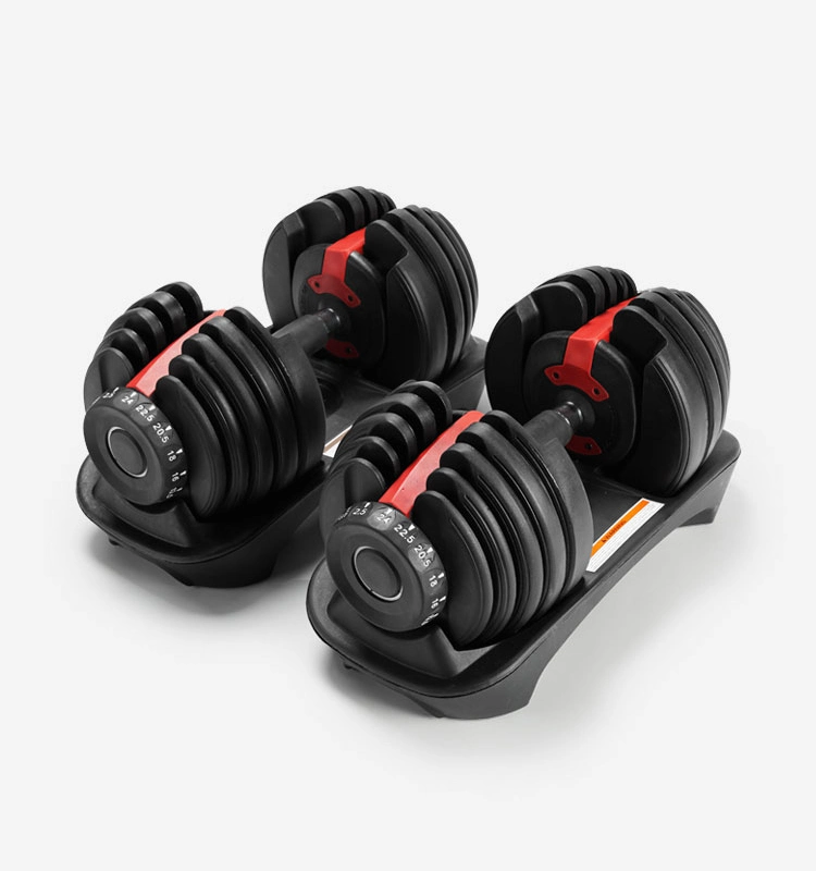 Adjustable Dumbbell Set Home Gym V Equipment Adjust Dumbbell 40kg Weights Dumbbells