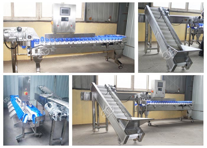 Multiple Weight Zones Weight Sorting Machine for Poultry