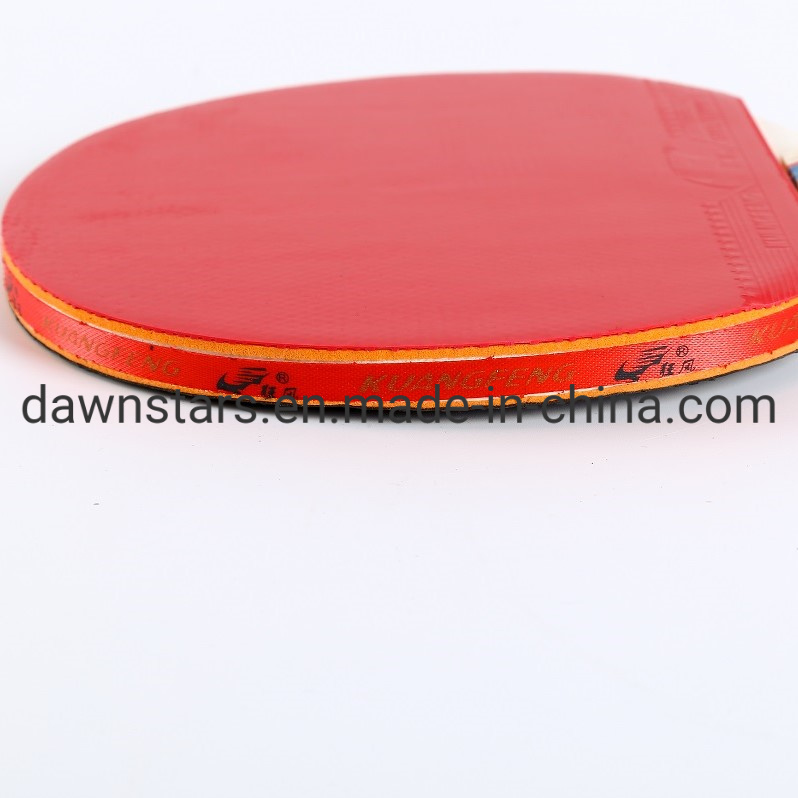 High Quality Professional Table Tennis Racket Bats for Training